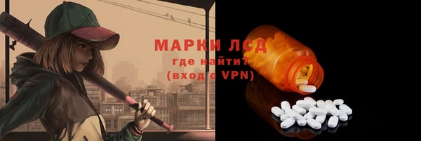 индика Рославль