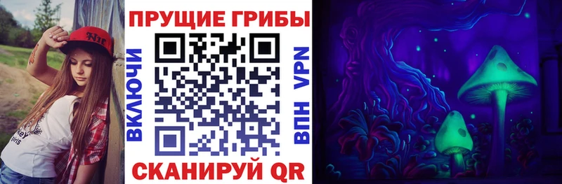цена   гидра рабочий сайт  Галлюциногенные грибы Psilocybe  Купино 
